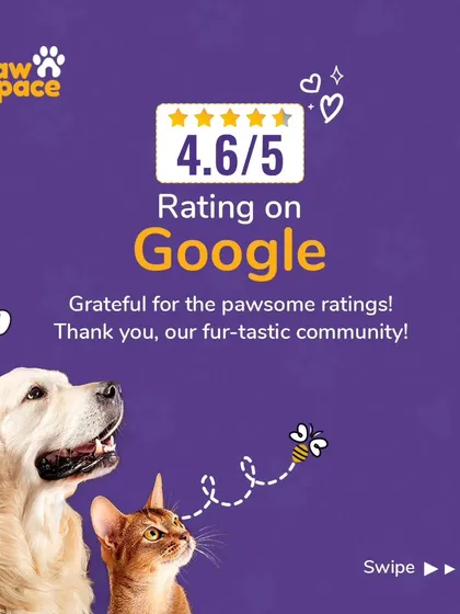 We are so grateful for the love from our community. A 4.6 out of 5 rating on Google tells us we're on the right track to helping pets live their best lives. Your trust means everything to us.