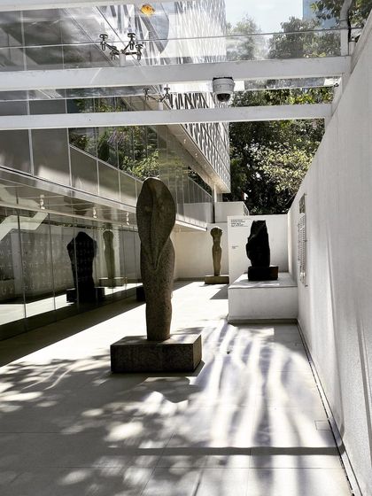 The sculpture court at MAP, showing how dappled sunlight filters through the overhead canopy, creating a dynamic environment for the artwork.