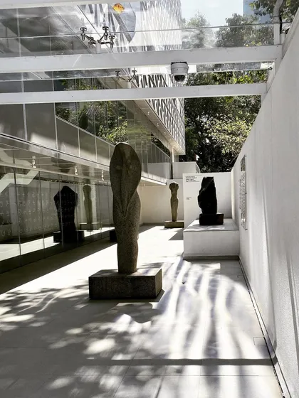 The sculpture court at MAP, showing how dappled sunlight filters through the overhead canopy, creating a dynamic environment for the artwork.