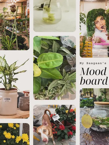 Here's a little mood board to give you a feel for My Baagaan. It's all about tranquility, lush greenery, and cozy corners that are waiting for you.
