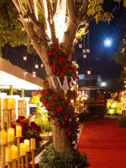 Wedding River - Wedding Design & Decor Sufi Nights & Royal Darbars photo 26