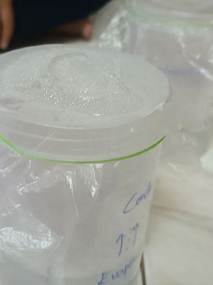 Fun in Science - Science Camps Additional Work photo 21