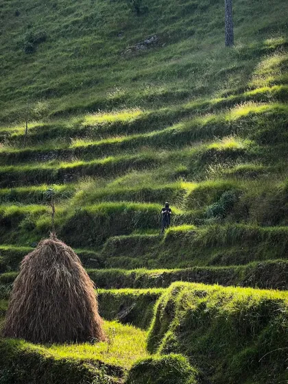 A lone figure walks through the vibrant green terraces of the Himalayan foothills. This image, captured by photographer Ariel Huber, evokes the sense of peace and solitude that we aim to create in our mountain retreats.