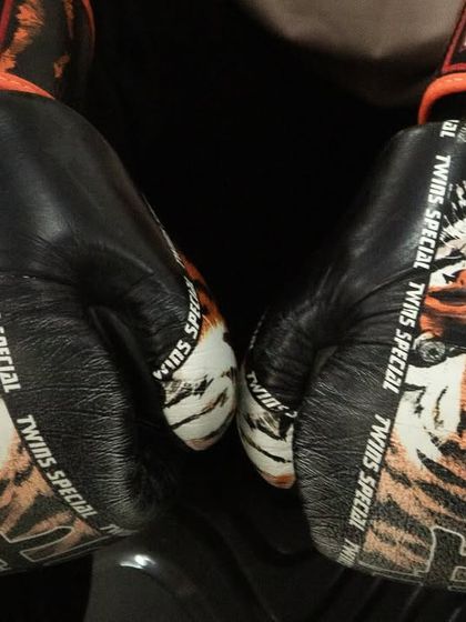 It all starts with the right gear. A close up of our "Twins Special" boxing gloves, ready for action.