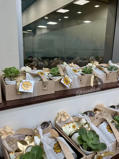 A row of our eco-friendly jute baskets filled with succulents and other goodies for The Belgian Waffle Co., showcasing a sustainable and beautiful gifting option.