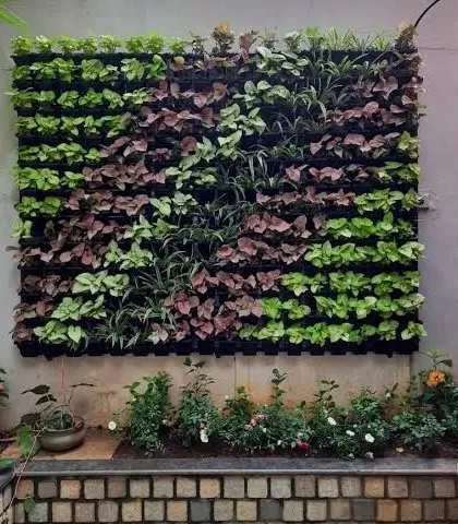 For those who love real plants, I create lush, living vertical gardens like this one. I use a variety of plants that grow well together to make a beautiful green wall that brings life to any space.