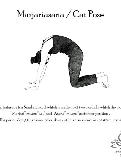 Anagha Yoga - Therapeutic Yoga Yoga Foundations: Asana Library photo 40