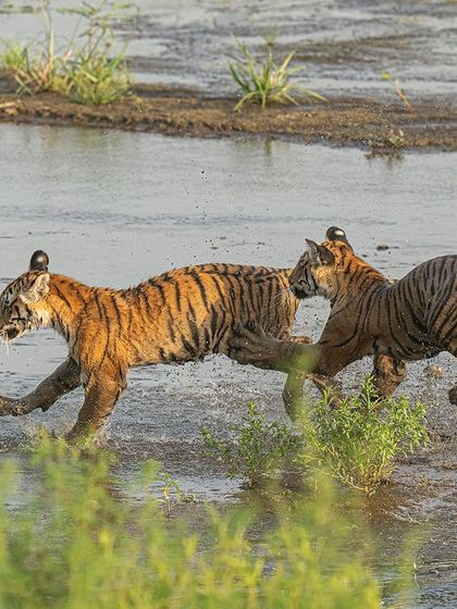 Another frame from the water-play sequence. Capturing a series of shots allows you to pick the one with the most impact, where the composition, action, and expression align perfectly.
