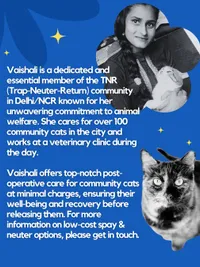 TNR Services