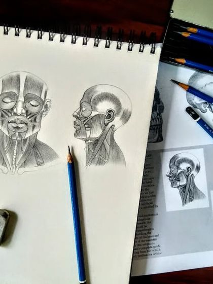 Sketches & Foundational Studies photo 3