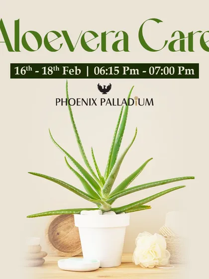 At our workshops, we teach practical skills like Aloe Vera care. Learn how to properly care for this versatile medicinal plant, from its watering needs to how to harvest its gel.