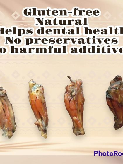 These dehydrated chicken wing tips are a crunchy, bite-sized snack perfect for training or as a small reward for your dog.