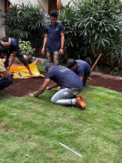 Make My Garden - Garden Design & Landscaping Commercial & Office Greening photo 9