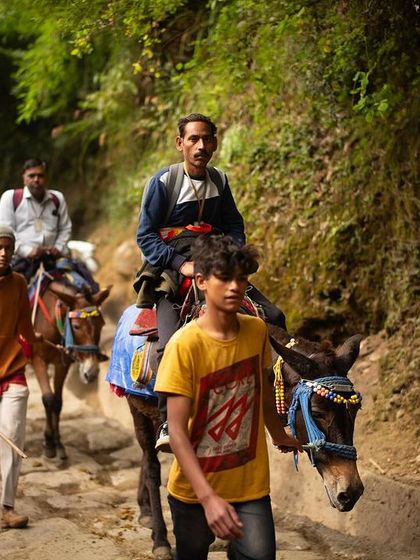 The path to Kedarnath is shared by pilgrims from all walks of life, many of whom rely on horses and pithus to make the arduous climb. It is a journey of interdependence, where we witness the hard work and dedication that supports each person's spiritual quest.