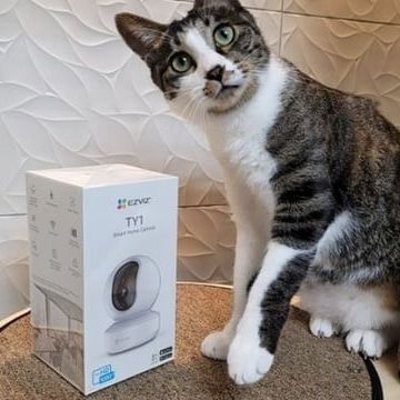 A curious cat inspects the box for an EZVIZ TY1 Smart Home Camera. These cameras are perfect for pet owners who want to check in on their furry friends during the day.