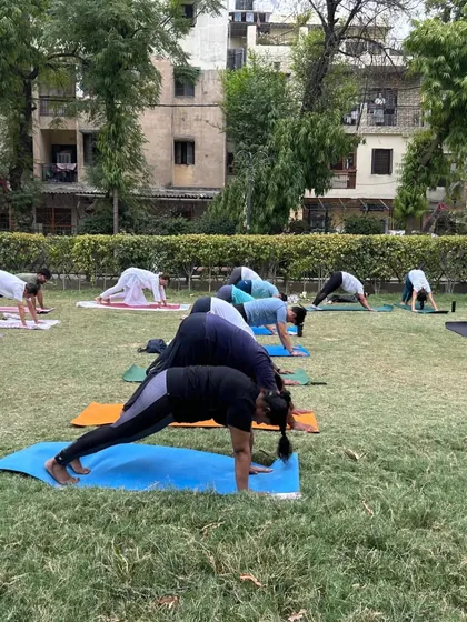 Participants practicing Adho Mukha Svanasana (Downward-Facing Dog) in a park. This foundational pose is excellent for energizing the entire body.