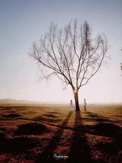 A couple stands apart under a bare, sculptural tree at sunrise, their long shadows creating a dramatic and artistic composition.