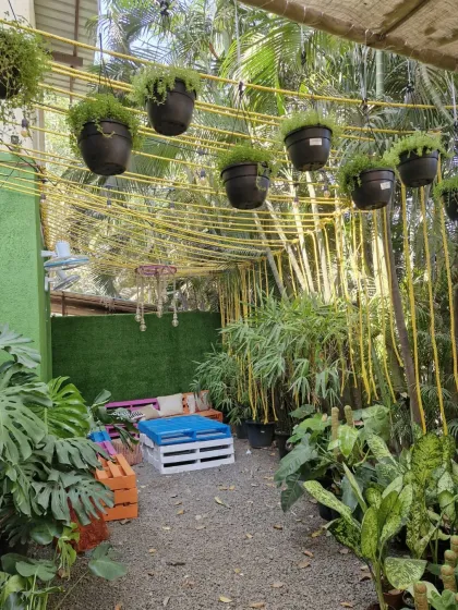 We believe in creating quiet, beautiful corners where you can just be. This little seating nook, surrounded by hanging pots and lush monstera plants, is one of our favorites.