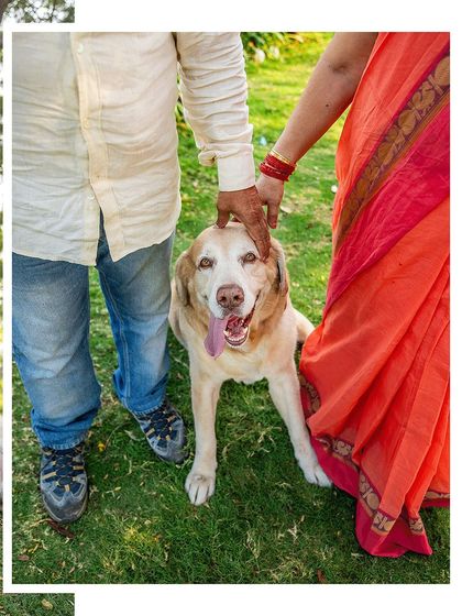 Pawparazzi By Prathima - Pet Milestone Photography Senior Tributes & Golden Years photo 15