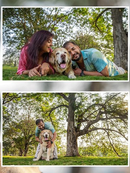 Pawparazzi By Prathima - Pet Milestone Photography Senior Tributes & Golden Years photo 16
