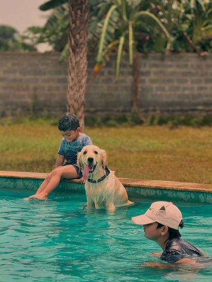 The Pawsome Camp - Dog Park & Pool Splash & Play: Our Dog Pool photo 6