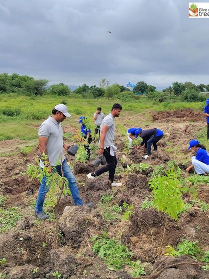 The Honeywell team during their plantation day in Pune, which included a nature walk along a waterway before the planting began. This holistic approach connects volunteers to the broader landscape they are helping to restore.