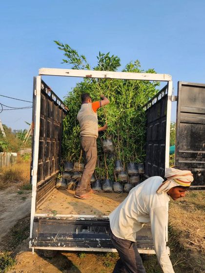 Delhi Gardner - Full-Service Landscaping Our Process: From Concept to Creation photo 12