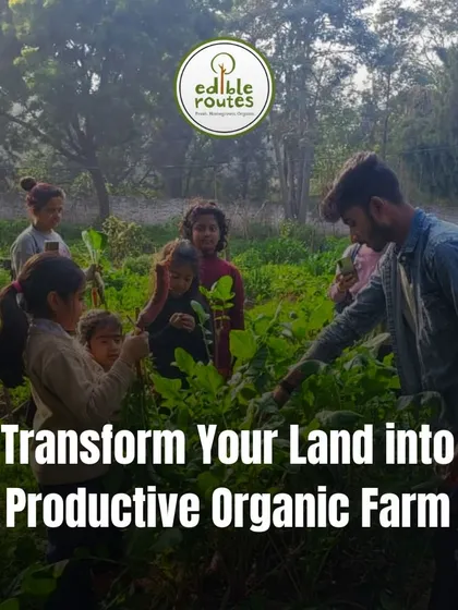 Farming is an experience for the whole family. We love seeing children connect with the earth, learning firsthand where their food comes from by getting their hands in the soil and helping with the planting process.