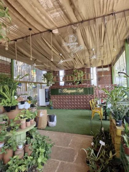 The Vibe: Our Green Oasis photo 17