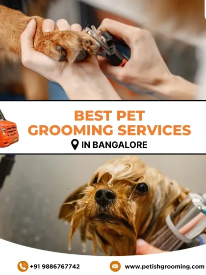 Petish Grooming - Mobile Grooming for Dogs & Cats Our Full Grooming Process photo 16