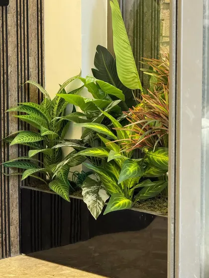 Another example of our artificial planter styling. The vibrant green leaves with intricate patterns add a pop of life and color to this indoor space.