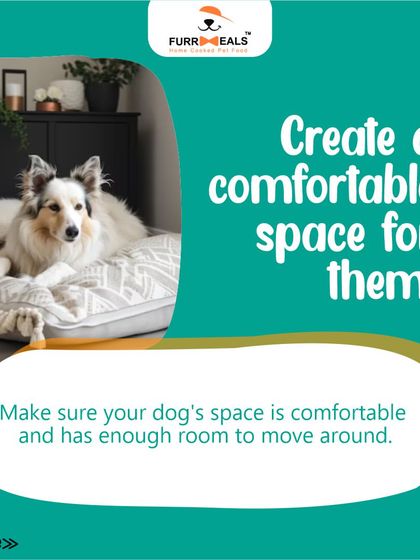 Preparing your home for a new dog is essential for a smooth transition. This guide walks you through the key steps, including dog-proofing your space, creating a cozy den, stocking up on supplies, and setting clear family rules.