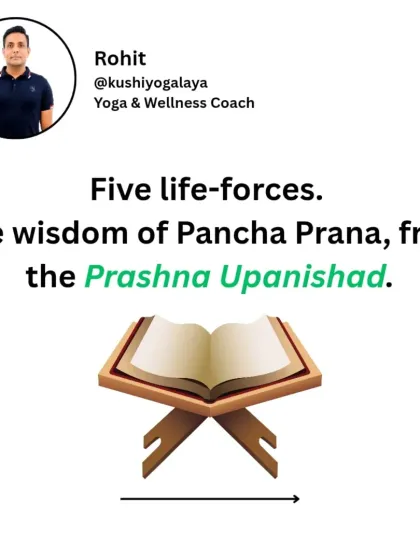 Rohit N - Yoga Teacher Training The Science of Yoga & Ayurveda photo 19