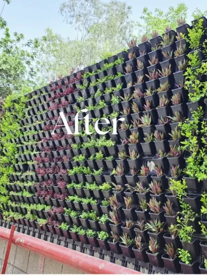 A detailed view of the completed vertical garden, showing the individual plant modules. This system allows for intricate designs and easy maintenance, ensuring the living wall stays healthy and beautiful.