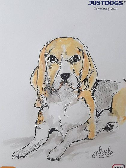 Sometimes it's all about the pet! This is a handsome beagle I had the pleasure of drawing during a live pet caricature event.