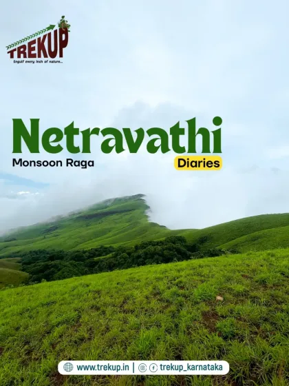 Welcome to the Netravathi trek during the monsoon. These rolling green hills, often called the "Green Route," are covered in a blanket of mist, creating a magical atmosphere. It's one of our most popular weekend treks from Bangalore for a reason.