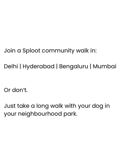 Whether you join a Sploot community walk or just take your dog out in your neighborhood park, the most important thing is to spend that quality time together.