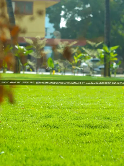 A close up view of a perfectly manicured, healthy lawn. The vibrant green color and dense growth are the results of proper lawn care, including regular mowing, watering, and fertilization.