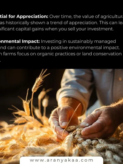 Historically, agricultural land shows a consistent trend of appreciation, leading to significant capital gains. Furthermore, investing in our sustainably managed farms contributes to a positive environmental impact through practices like organic farming and land conservation.