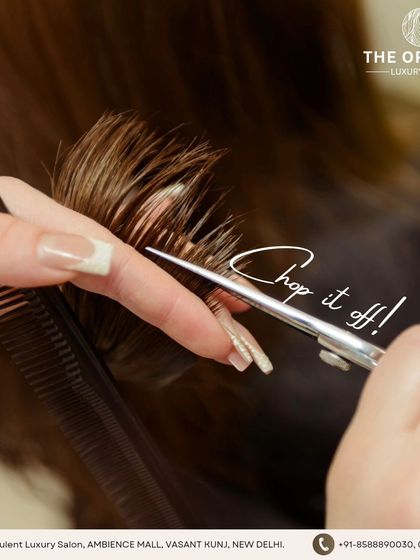 The Opulent - Haircuts & Styling Signature Haircuts for Women photo 22