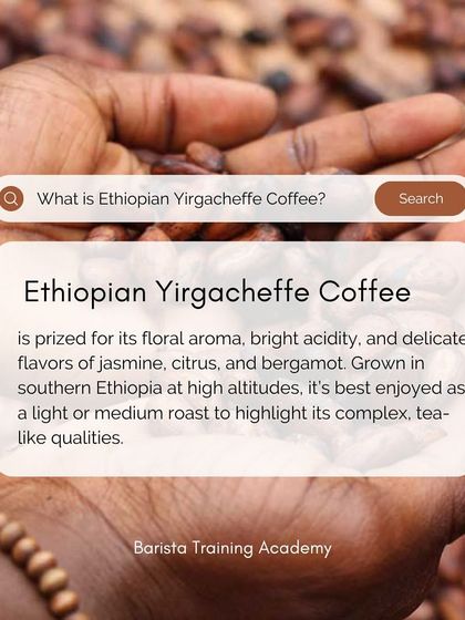 A quick guide to Ethiopian Yirgacheffe coffee, prized for its floral aroma, bright acidity, and delicate flavors.