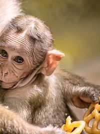 Nature & Travel Photography