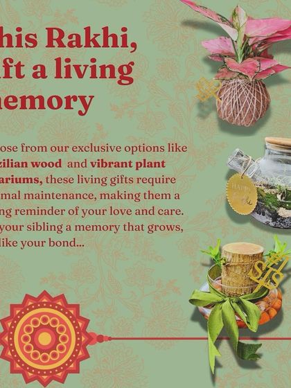 Gifts for Every Occasion photo 9