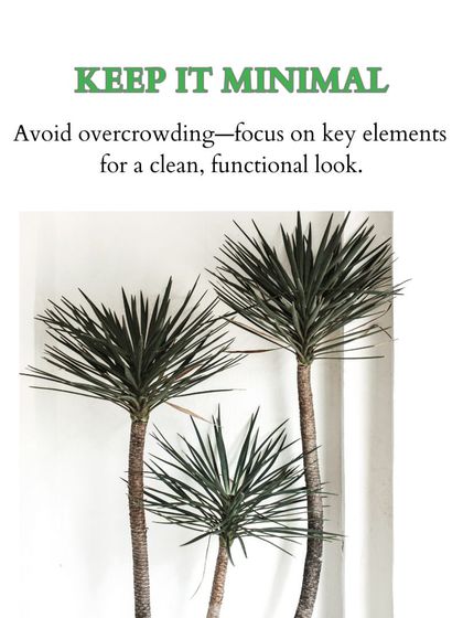 Greenium - Interior Plantscaping & Decor Outdoor Living: Balconies, Terraces & Backyards photo 38