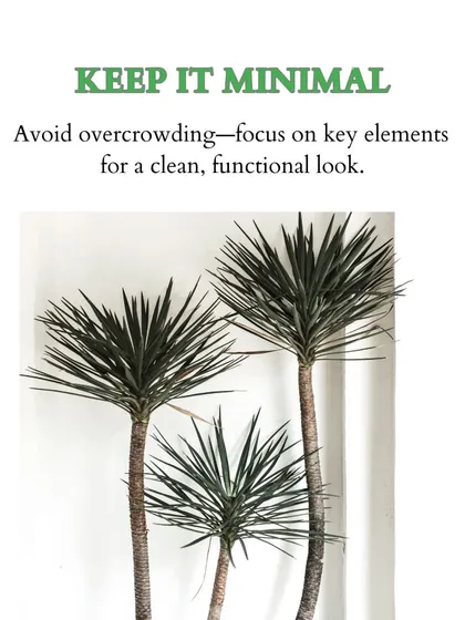 To avoid a cluttered look on a small balcony, I focus on a few key elements. Here, three minimalist dragon trees (Dracaena) make a statement without overwhelming the space.