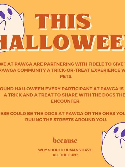 This Halloween, we're partnering with Fidele for a Trick-or-Treat experience. Participants get treats to share with the pets they meet.