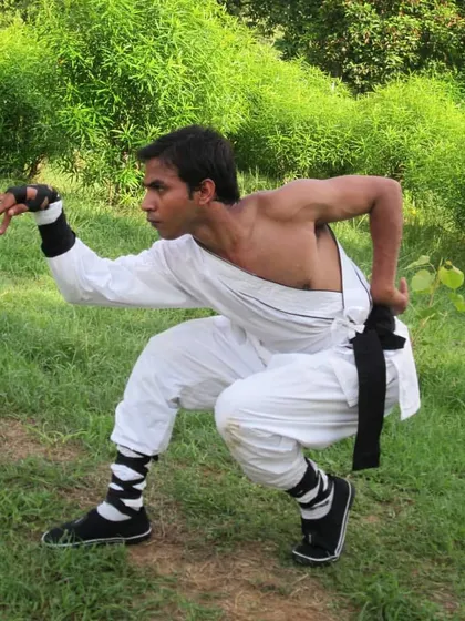 The snake style of Kung Fu emphasizes flexibility, fluid movement, and precise strikes. This stance is key to generating power from a low and stable base.