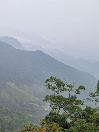 The rolling hills of Wayanad disappearing into the mist. A perfect landscape for those who love nature's drama.