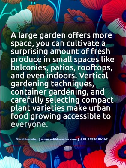 You can cultivate a surprising amount of produce in small spaces. I use techniques like vertical gardening, container planting, and compact plant varieties to make urban food growing accessible to all.