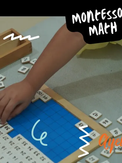 Montessori Math materials, like this hundred board, are designed to help children develop mathematical skills and spatial awareness through hands-on, experiential learning. We always move from concrete concepts to abstract ones.